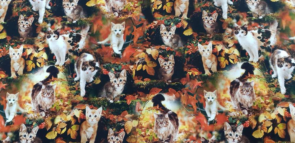 Katoenen Lycra Herfst Katjes Soys Kantjeboord
