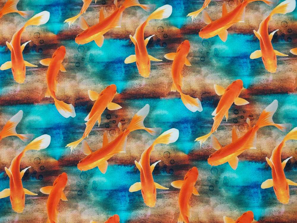 Katoenen Lycra Koi Karpers Soys Kantjeboord