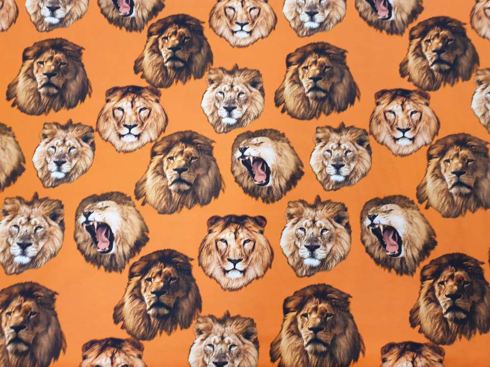 Katoenen Lycra Oranje Leeuwenkoppen Soys Kantjeboord