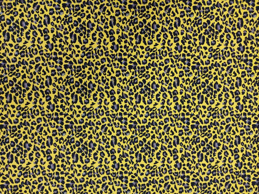 Badpakken Lycra Gele Cheetah Soys Kantjeboord