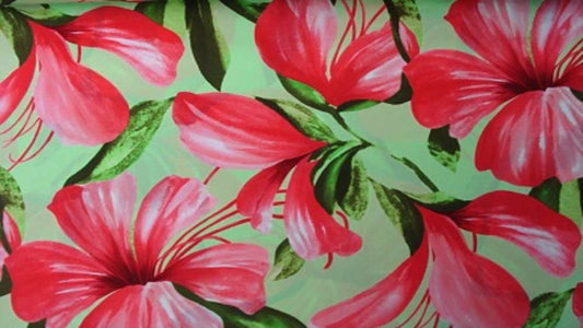Badpakken Lycra Roze Lelies Soys Kantjeboord