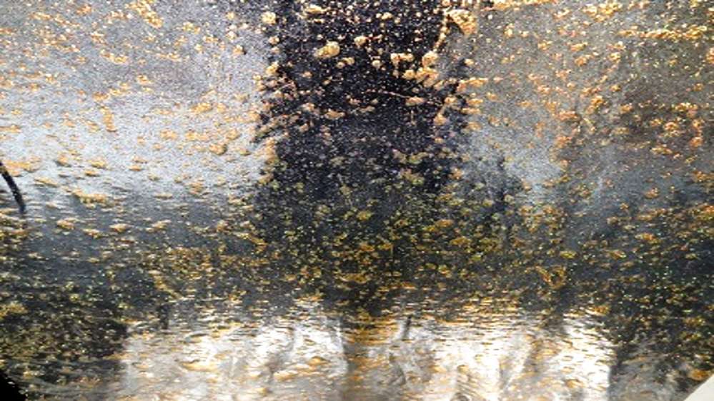 Glitter Lycra Drops Goud Soys Kantjeboord