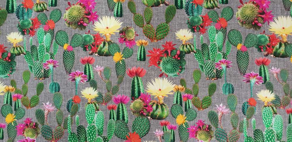 Katoenen Lycra Cactussen Soys Kantjeboord