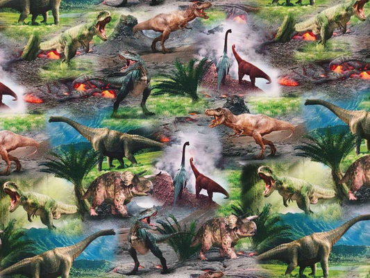 Katoenen Lycra Dino Landschap Soys Kantjeboord