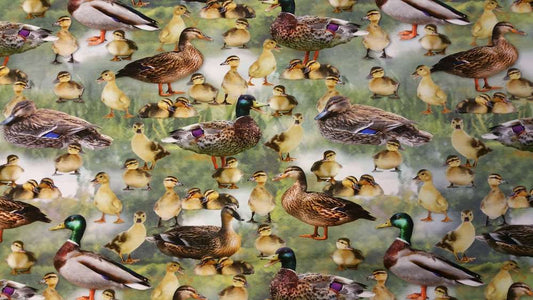 Katoenen Lycra Eendjes Soys Kantjeboord