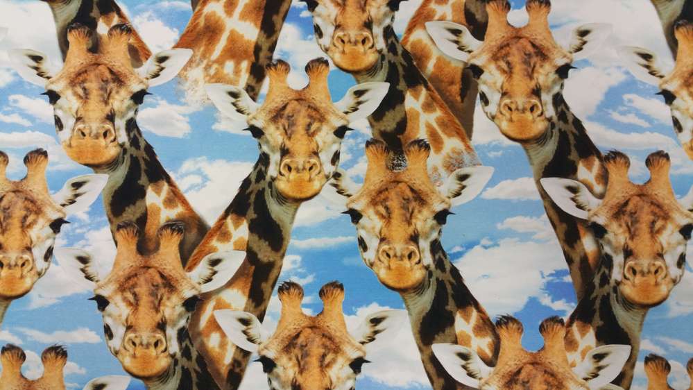Katoenen Lycra Giraffen Soys Kantjeboord
