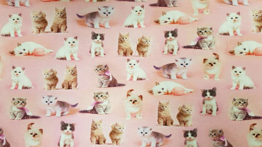 Katoenen Lycra Kittens Soys Kantjeboord