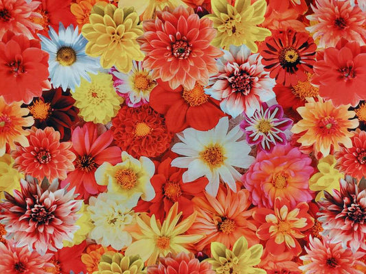 Katoenen Lycra Kleurige Dahlia's Soys Kantjeboord