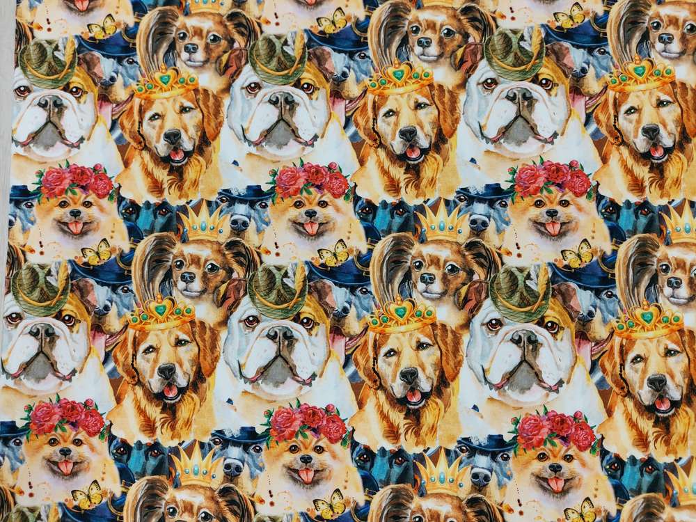 Katoenen Lycra Leeuwen en Honden Soys Kantjeboord