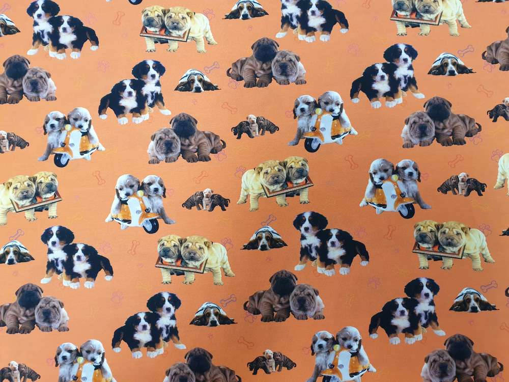 Katoenen Lycra Oranje Puppy's Soys Kantjeboord