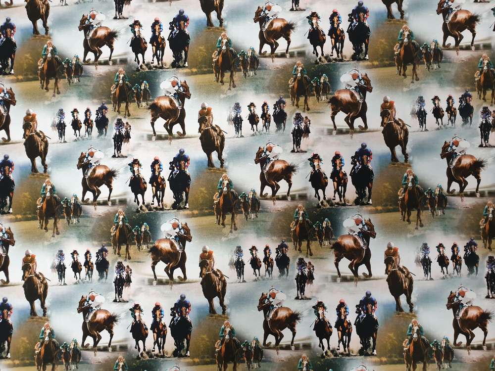 Katoenen Lycra Paarden en Ruiters Soys Kantjeboord