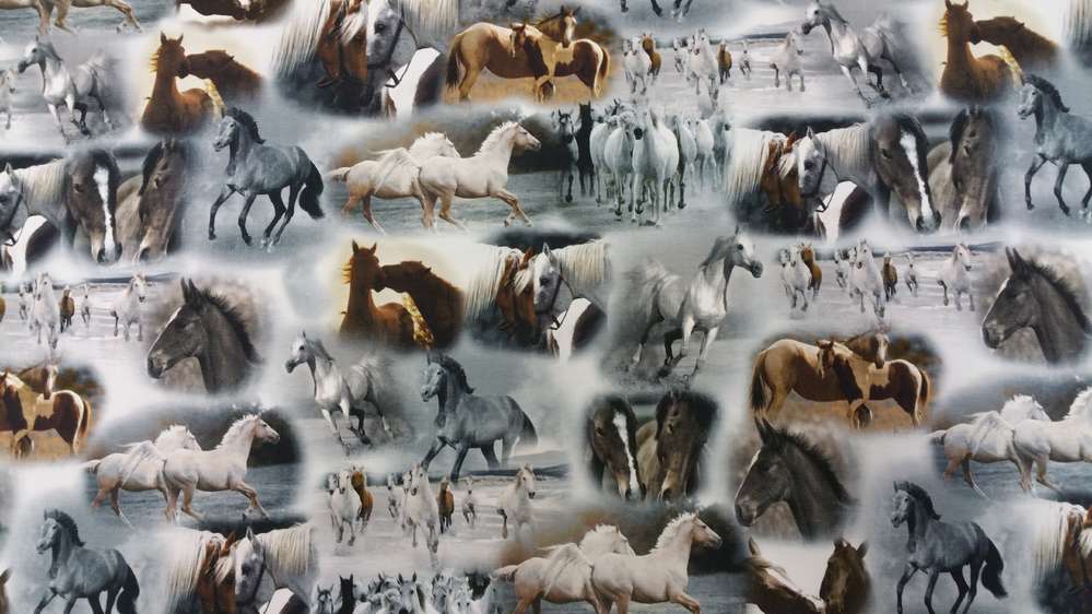 Katoenen Lycra Paarden in de Mist Soys Kantjeboord
