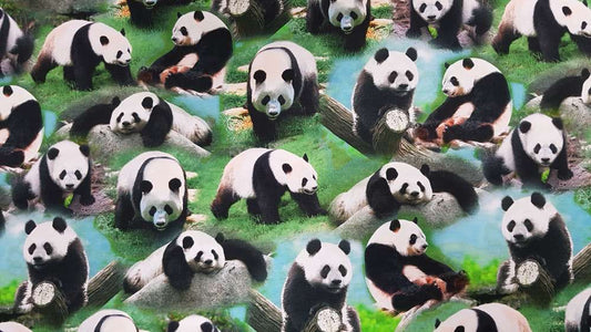 Katoenen Lycra Panda's in het Gras Soys Kantjeboord