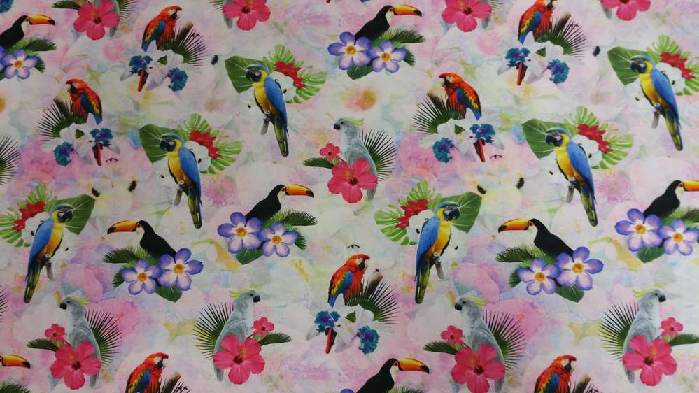 Katoenen Lycra Paradijsvogels Soys Kantjeboord