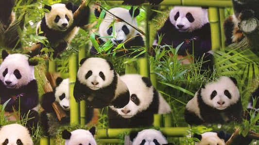 Katoenen Lycra Reuzenpanda's Soys Kantjeboord