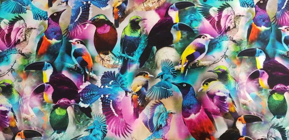 Katoenen Lycra Toekans en Tropische Vogels Soys Kantjeboord