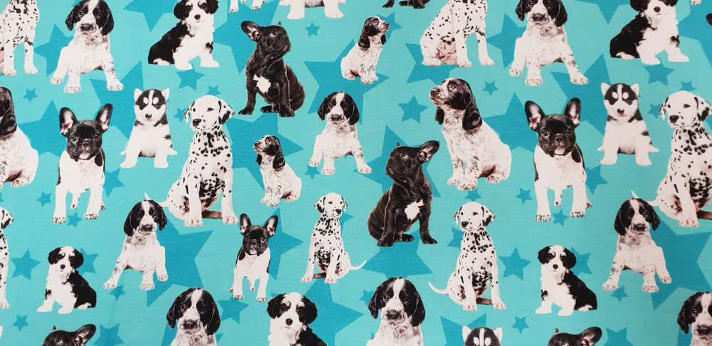 Katoenen Lycra Turquoise Hondjes Soys Kantjeboord