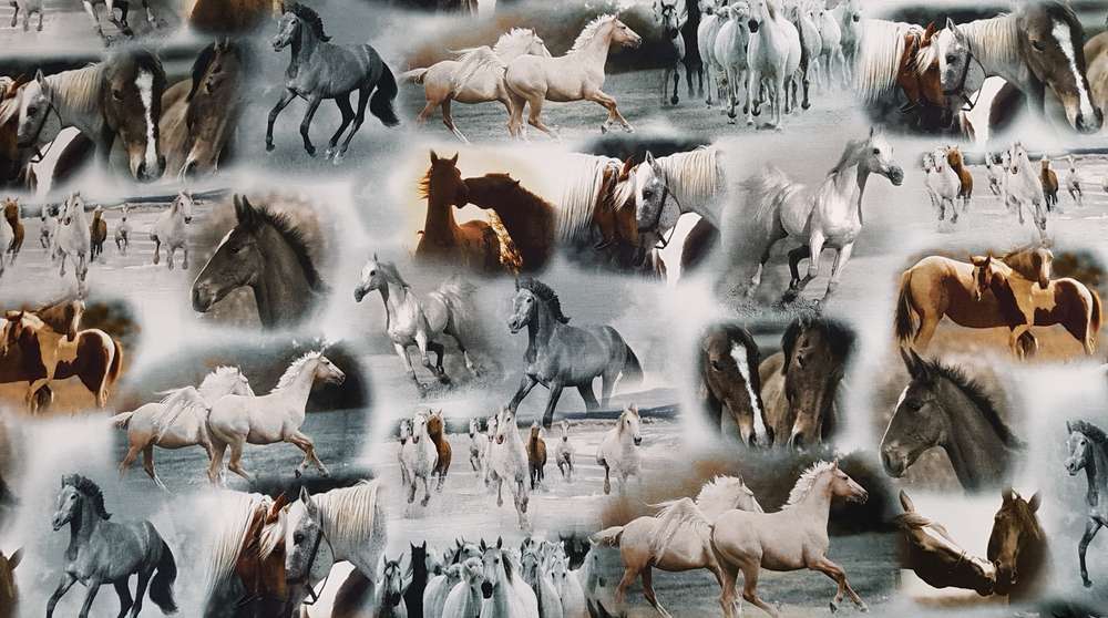 Katoenen Lycra Wilde Paarden Soys Kantjeboord
