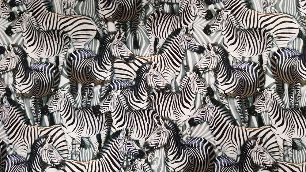 Katoenen Lycra Zebraprint Soys Kantjeboord