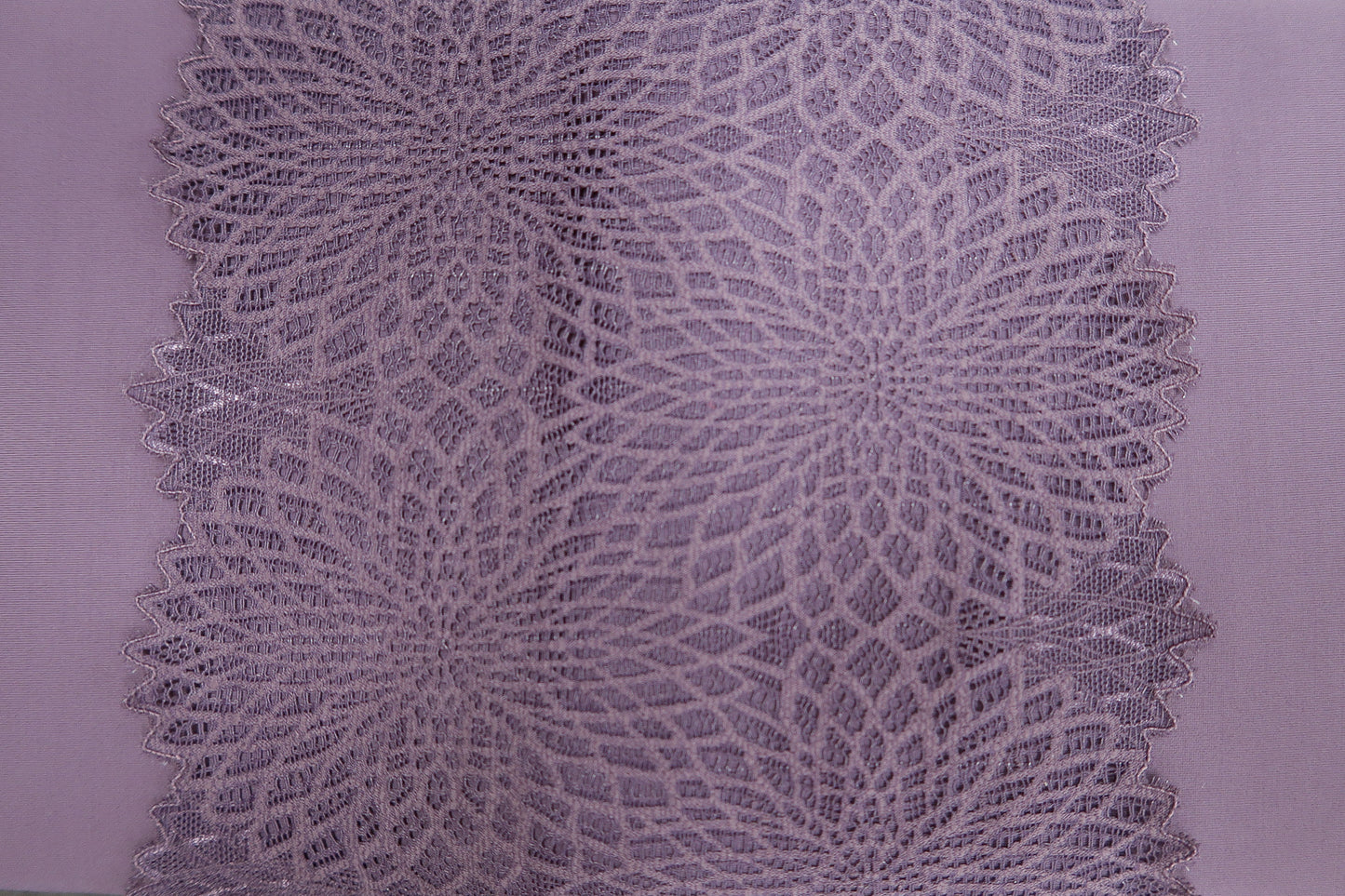 Stretch Kant 02 Soys Kantjeboord