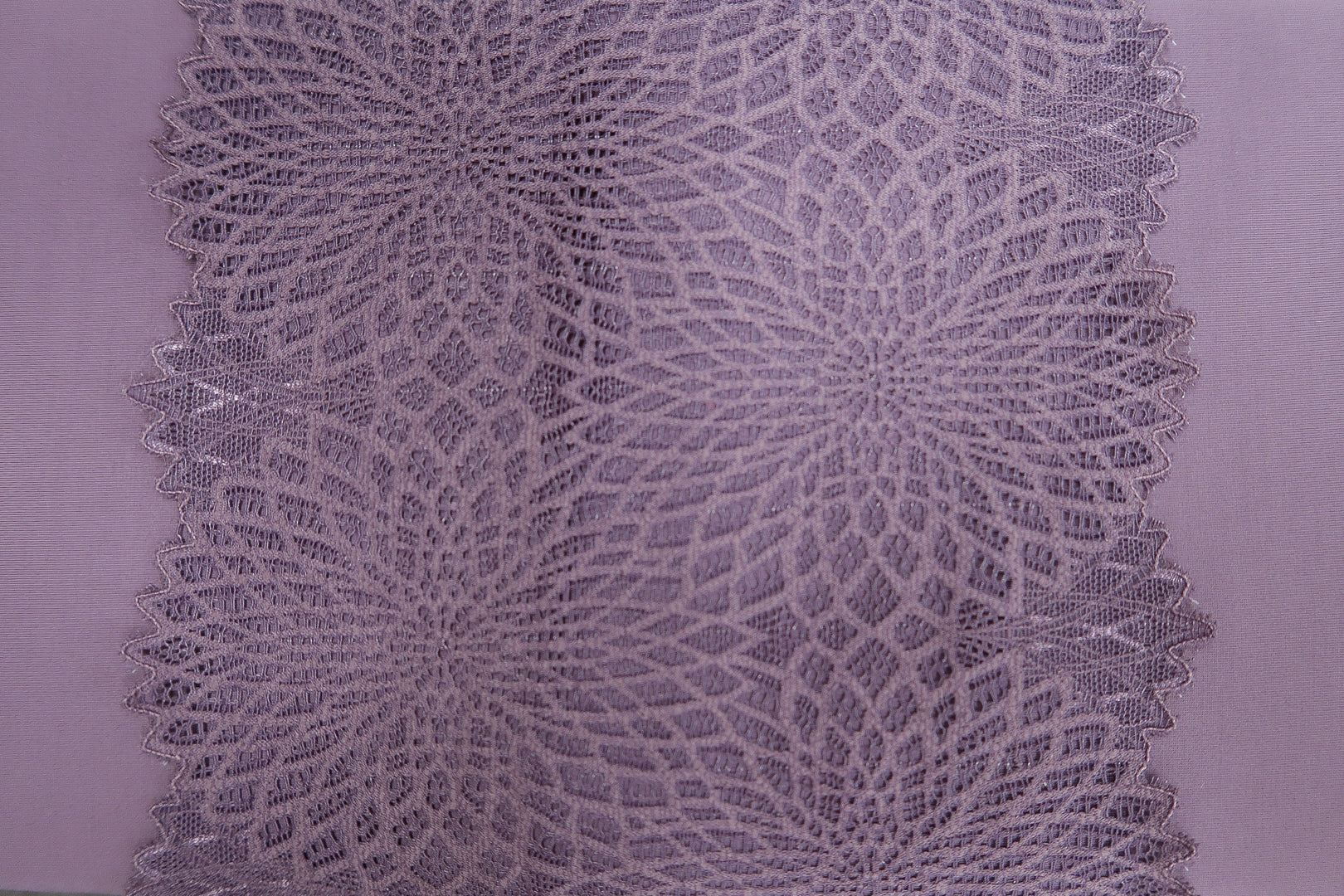 Stretch Kant 02 Soys Kantjeboord